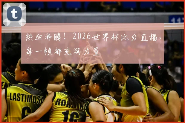 热血沸腾！2026世界杯比分直播，每一帧都充满力量