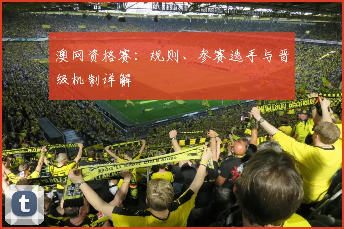 澳网资格赛：规则、参赛选手与晋级机制详解