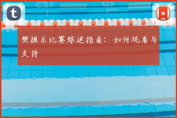 樊振东比赛球迷指南:如何观看与支持