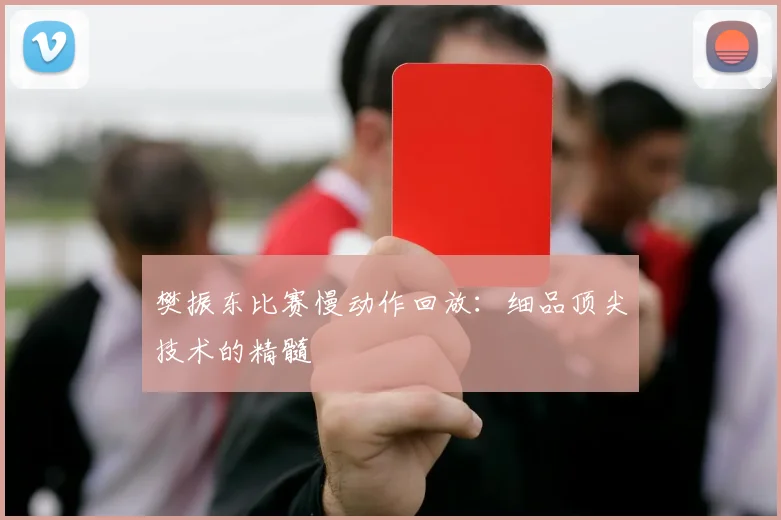 樊振东比赛慢动作回放：细品顶尖技术的精髓