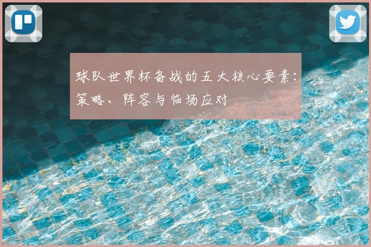 球队世界杯备战的五大核心要素:策略、阵容与临场应对