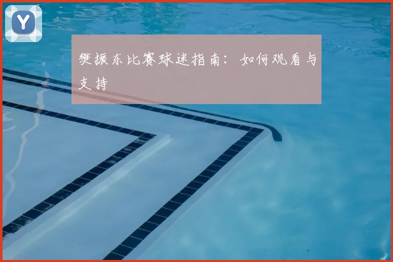樊振东比赛球迷指南：如何观看与支持