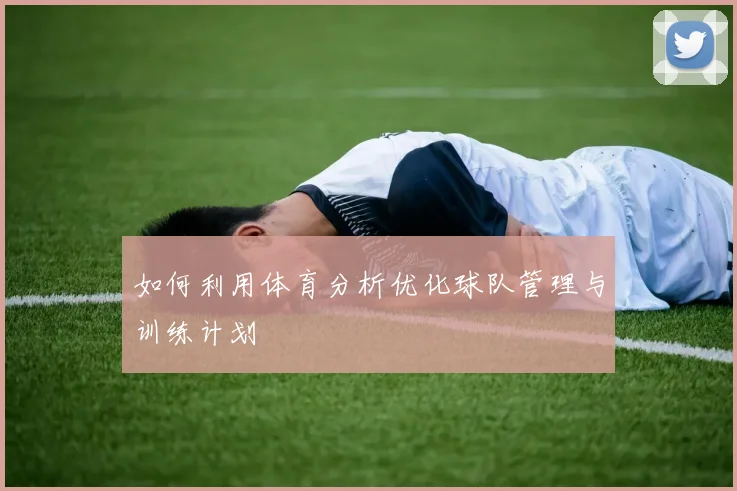 如何利用体育分析优化球队管理与训练计划