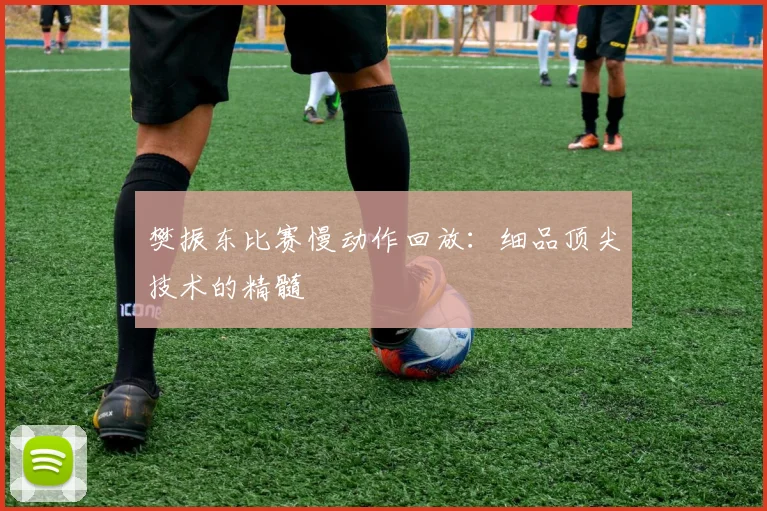樊振东比赛慢动作回放:细品顶尖技术的精髓
