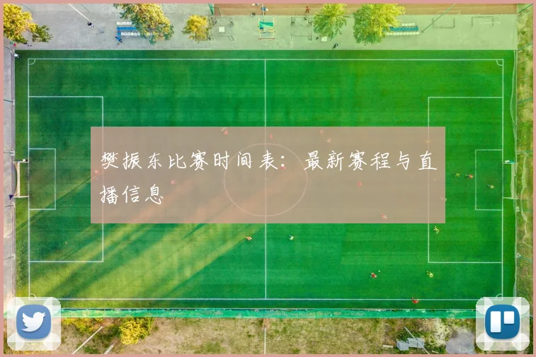 樊振东比赛时间表:最新赛程与直播信息